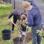 Glynn PS planting trees - PR