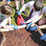 St Colmcille's PS sowing seeds-PR