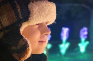 Enchanted Winter Garden Antrim lights trail at night