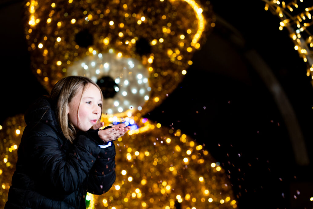 Night-time shot of Antrim Castle Gardens with lights, funfair rides and illuminated trees.