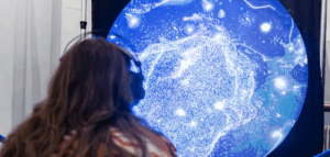 StoryDreamer immersive storytelling installation in Belfast.