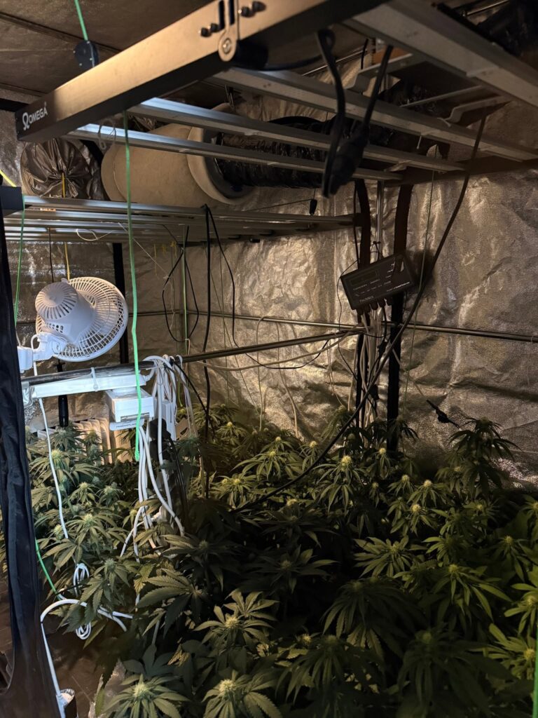 Erratic Driving Report Leads To £130,000 Drugs Seizure In Maghera