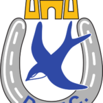 Dungannon Swifts FC