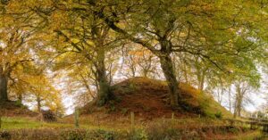 Echoes in the Landscape