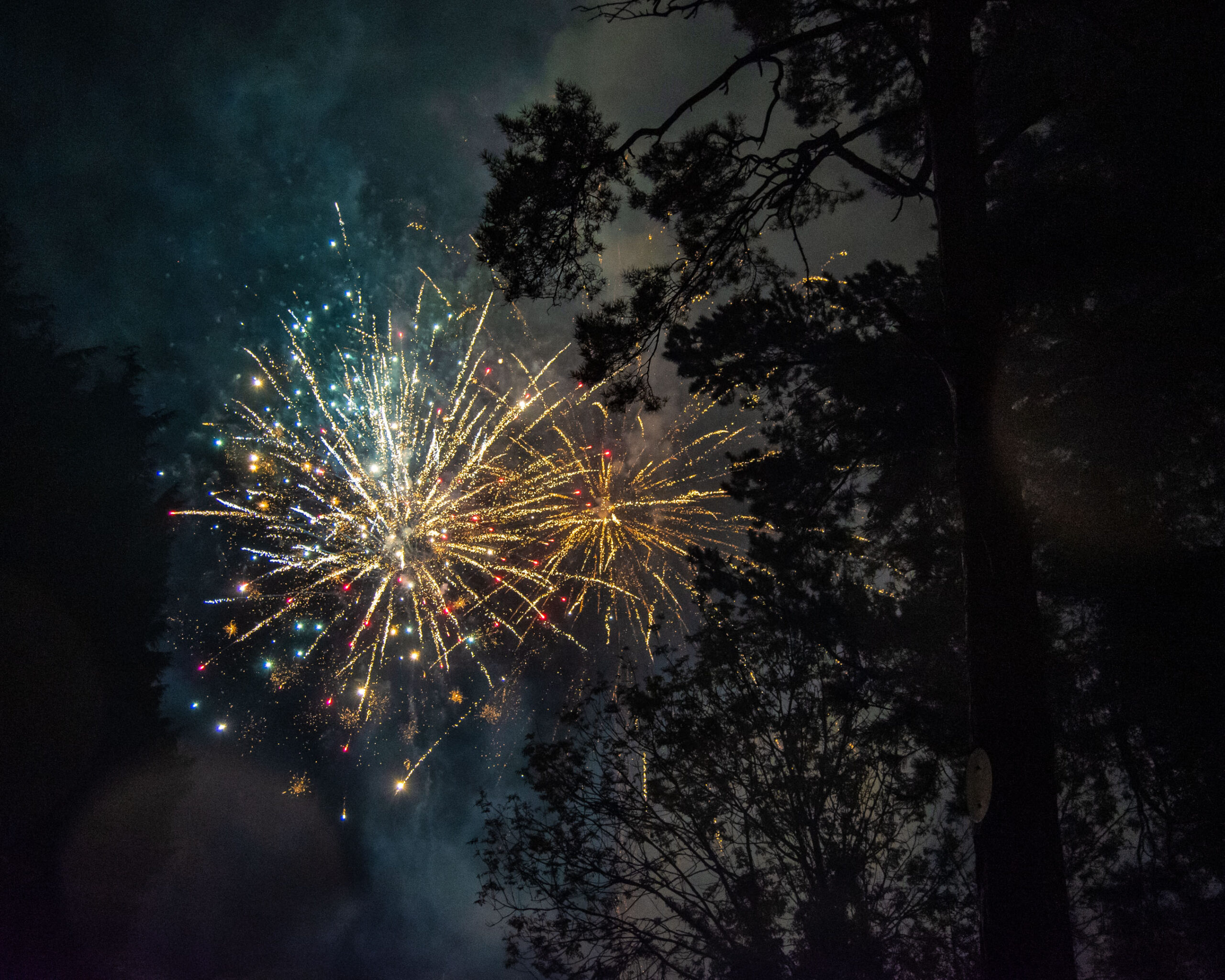 Crowds gathered for a dazzling fireworks display in the People's Park in Ballymena