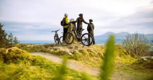 Electric Picnic at Castlewellan Forest Park Event image