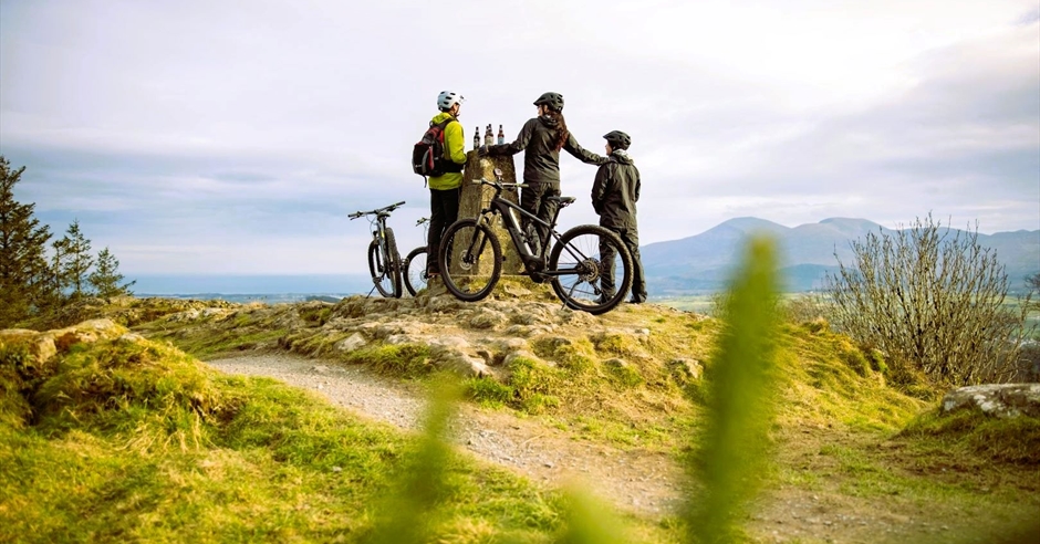 Electric Picnic at Castlewellan Forest Park Event image