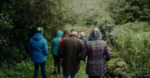Leaf and Lore: Autumn Native Tree Walk Event image
