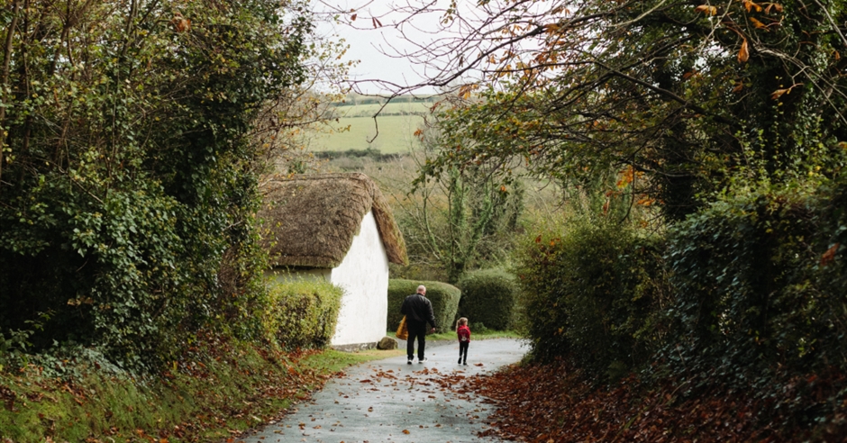 Wildlife Walk: Autumn Event image