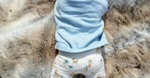 Baby Woodland Sensory (Prior to Crawling) Event image