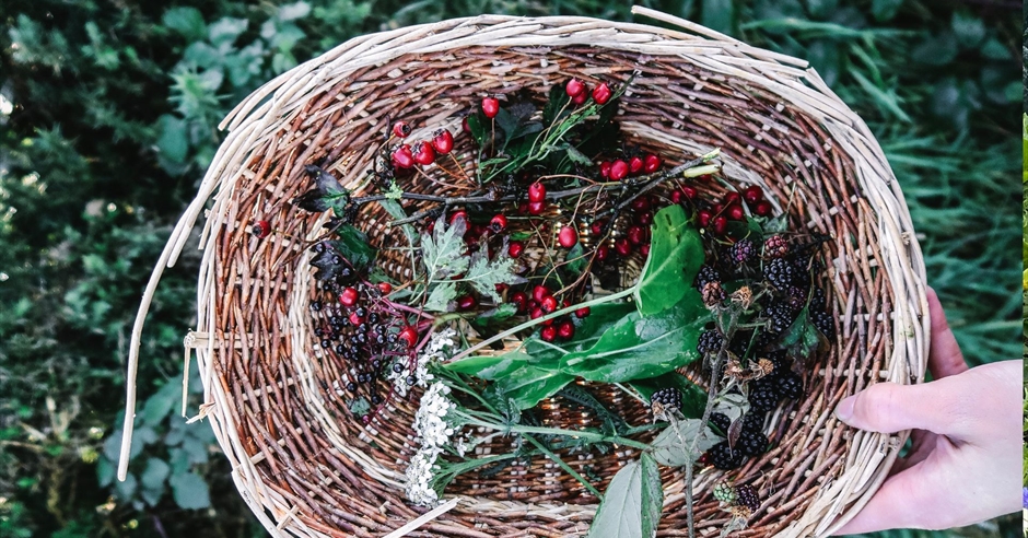 Autumn Foraging Walk Event image