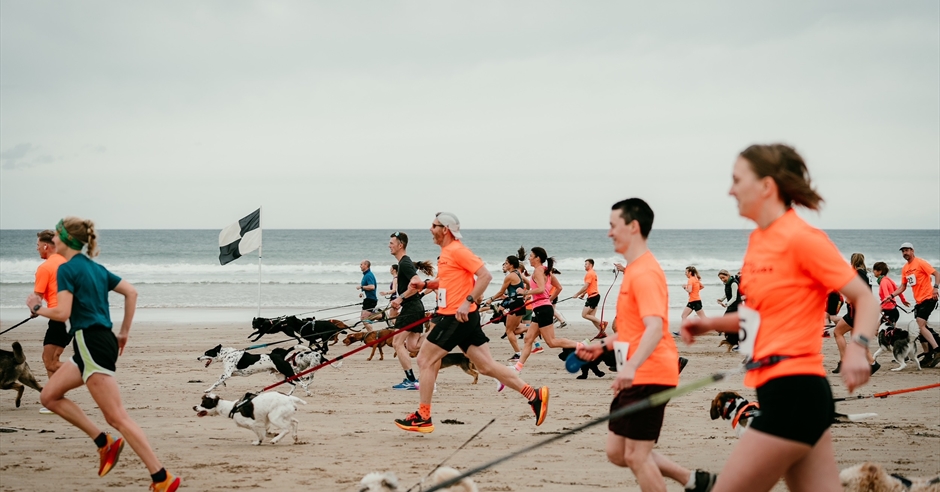 Waggy Races – the Portstewart Strand 5k Event image
