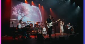 Big Love - A Tribute to Fleetwood Mac Event image